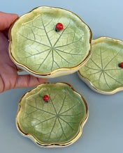 Load image into Gallery viewer, Botanical Plate Making | Pottery Class Auckland 28 March 2-4pm
